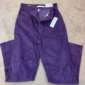 Pacsun Purple Corduroy High Waisted Straight Leg Jeans | Size 23 | 90s core